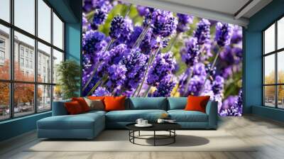 lavender field close-up Wall mural