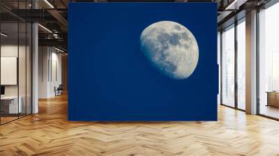 Waning Gibbous moon in blue hour Wall mural