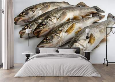 haddock Fish
 Wall mural