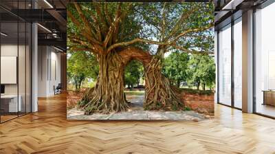 Nature's Embrace: Ancient trees intertwine with crumbling brick ruins, forming a mesmerizing archway. Their gnarled roots and sprawling branches create a living gateway, Wall mural