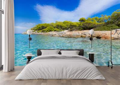 Aponissos beach, a pristine shore at the island of Agkistri, Greece, where turquoise waters meet with the green forest and the clear blue sky.   Wall mural