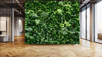 fern leaf background. tropical plant wall. Wall mural