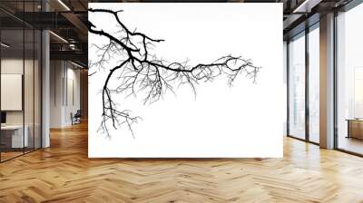 Dry twig on the tree in Black and White Wall mural