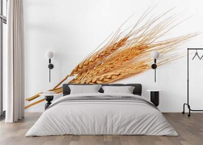 barley ear over a white background Wall mural