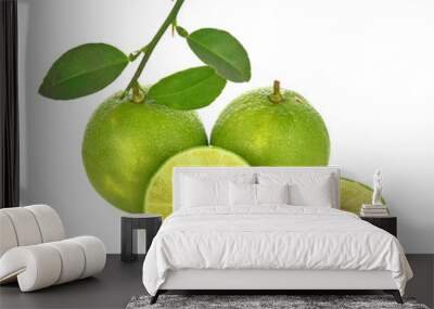 Lemon green fresh  leaf on white background Wall mural