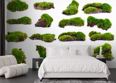 Green moss isolated on white bakground Wall mural