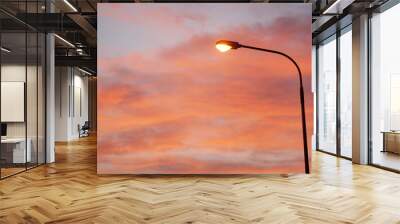 Electric Street lamp at dawn Wall mural