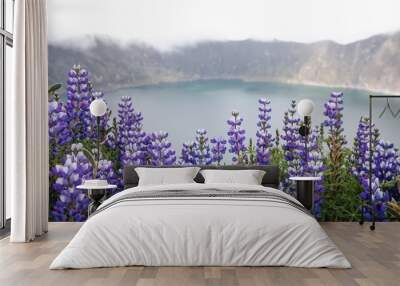 Laguna Quilotoa Crater Lake with Wild Flowers Wall mural