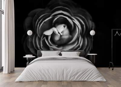 abstract black and white flowers background Wall mural