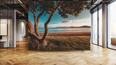 sunrise in new zealand paihia beach Wall mural