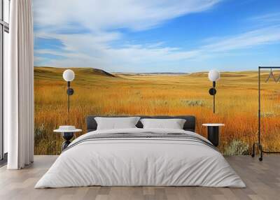 field of grass and sky Wall mural