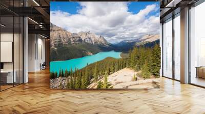 Peyto Lake, Alberta, Canada Wall mural