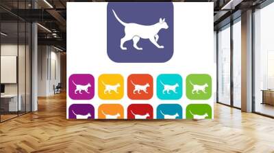 Cat icons set vector illustration in flat style In colors red, blue, green and other Wall mural