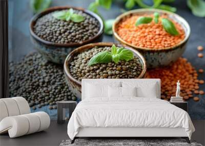 Three varieties of uncooked lentils with fresh basil in rustic bowls are sitting on a blue and gray textured surface Wall mural