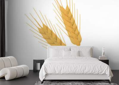 Vector illustration of barley on a white background. Wall mural