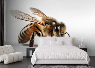 Image of bee on white background. Animal. Insect. Illustration, Generative AI. Wall mural