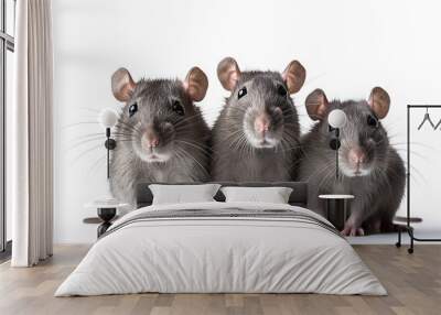 Image of family group of rats on white background. Wildlife Animals. Illustration, Generative AI. Wall mural