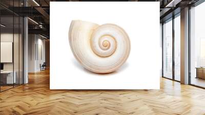 image of large empty ocean snail shell on a white background. undersea animals. sea shells. Wall mural