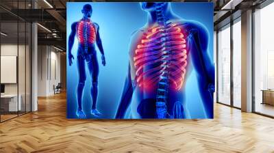 3D illustration of Ribs, medical concept. Wall mural