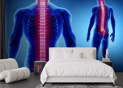 3D illustration of Spine, medical concept. Wall mural