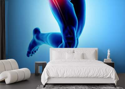 Hip painful skeleton x-ray, 3D illustration. Wall mural