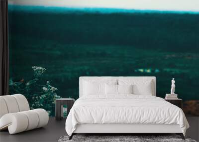 green valley wallpaper Wall mural