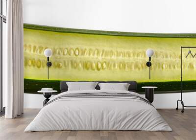 A Sliced Zucchini with a Transparent Background, Revealing its Seeds and Inner Texture Wall mural