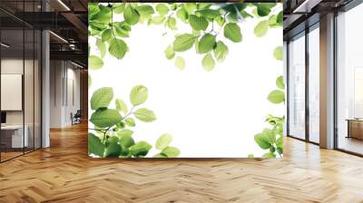 abstract background of fresh tree leaves on isolated background, featuring a single green leaf in t Wall mural