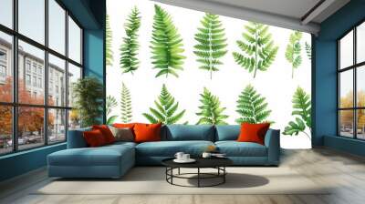 botanical illustration of ferns on a isolated background Wall mural