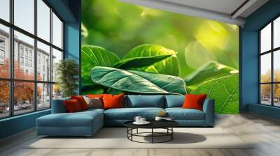 close - up of green botanical leaves in sunlight Wall mural