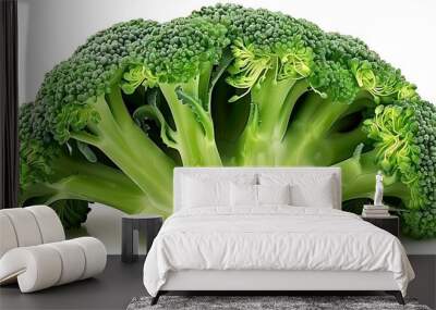 Fresh Green Broccoli Illustration - A Healthy Vegetable with Green Florets Wall mural