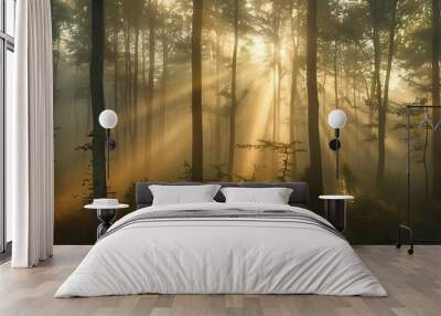 mystical foggy forest with sun rays breaking through trees Wall mural