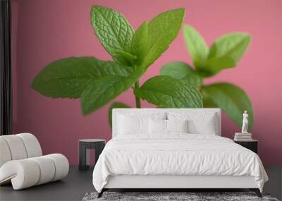 Vibrant Green Mint Plant Photo on a Pink Backdrop Wall mural