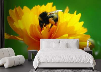 abeille 2 Wall mural