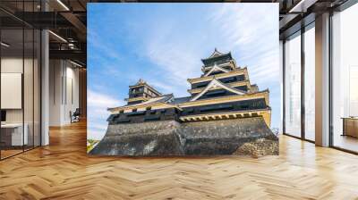 Kumamoto castle,tourism of japan Wall mural