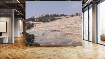 The mount of olives - the most ancient  jewish cemetery in Jerusalem Wall mural