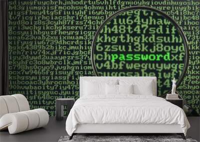 hacking for password Wall mural