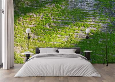 green grass background with natural light and shadow Wall mural