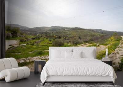 Terraces and olive trees in the Jerusalem forest near Ein Lavan Wall mural