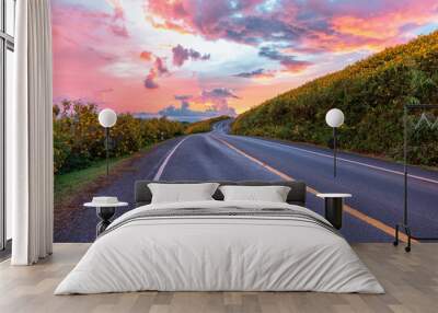 Empty asphalt road through Mexican sunflower flower field to sunset sky at Mae Hong Son Province, Thailand. Wall mural