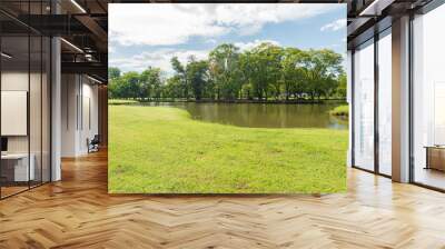 Green grass field in park at city center with sunlight in the morning Wall mural