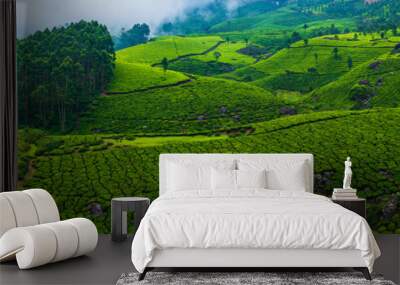 Panoramic beautiful tea plantations in hills near Munnar, Kerala, India. Wall mural