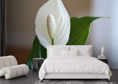 A beautiful white peace lily blossom with rich green leaves, perfect for home decor or nature-themed projects. Wall mural