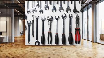 This image displays an assortment of tools including wrenches, screwdrivers, and pliers, organized on a white background, symbolizing repair, construction, and utility (12) Wall mural