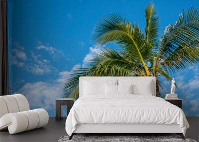 palm tree on sky Wall mural