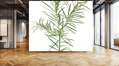 GREEN teatree Wall mural