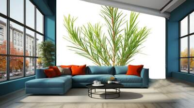 teatree Wall mural