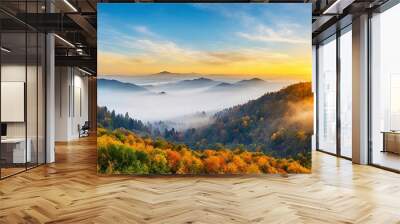 landscape Black Forest Germany. Wall mural