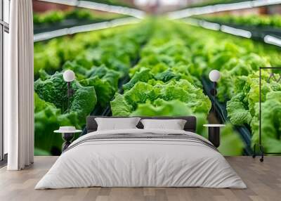 fresh green lettuce leaves, showcasing the organic texture and rich color of a healthy salad ingredient Wall mural