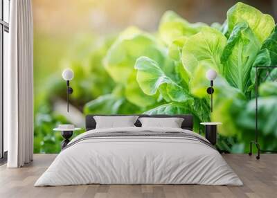 fresh green lettuce leaves, showcasing the organic texture and rich color of a healthy salad ingredient Wall mural